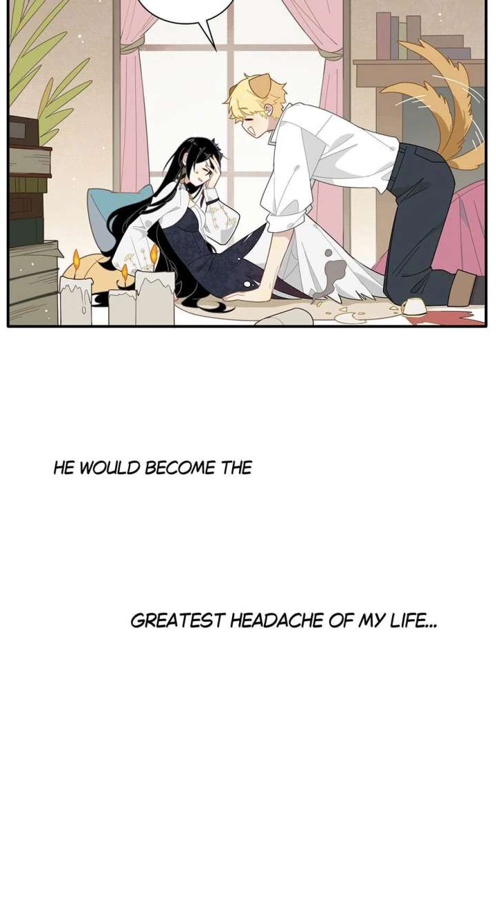 The Reborn Witch Raises a Templar Chapter 3 203 49