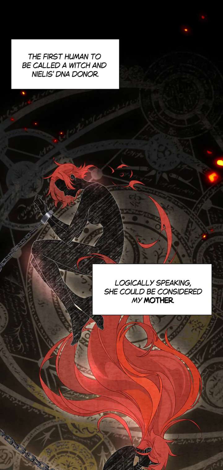 The Reborn Witch Raises a Templar Chapter 41 209 10