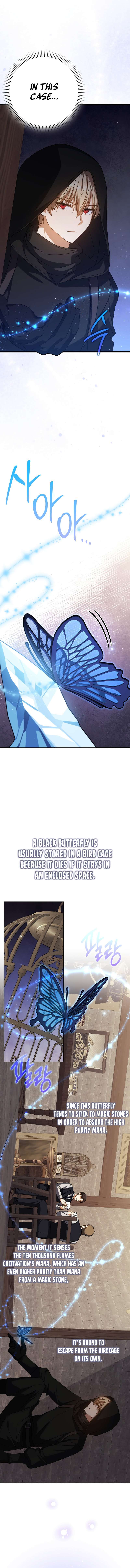 The Reincarnated Assassin is a Genius Swordsman Chapter 59 79 006