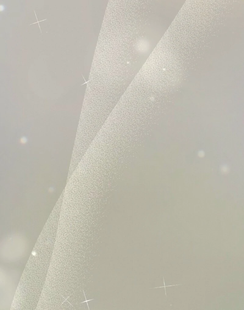 The Reincarnation of the Duke’s Daughter Chapter 54 451 042