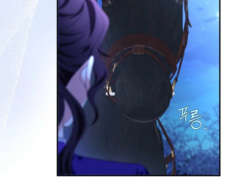 The Revenge of the Abandoned Daughter of a Prestigious Magic Family Chapter 43 570 074