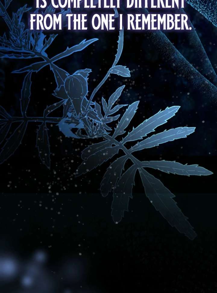 The Revenge of the Abandoned Daughter of a Prestigious Magic Family Chapter 44 505 060