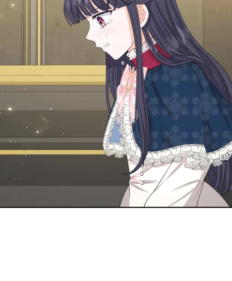 The S-Class Little Princess Is Too Strong Chapter 62 336 63