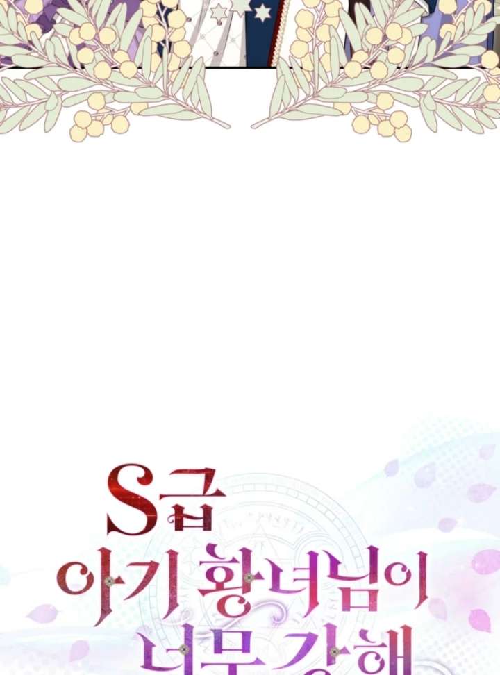 The S-Class Little Princess Is Too Strong Chapter 70 297 08