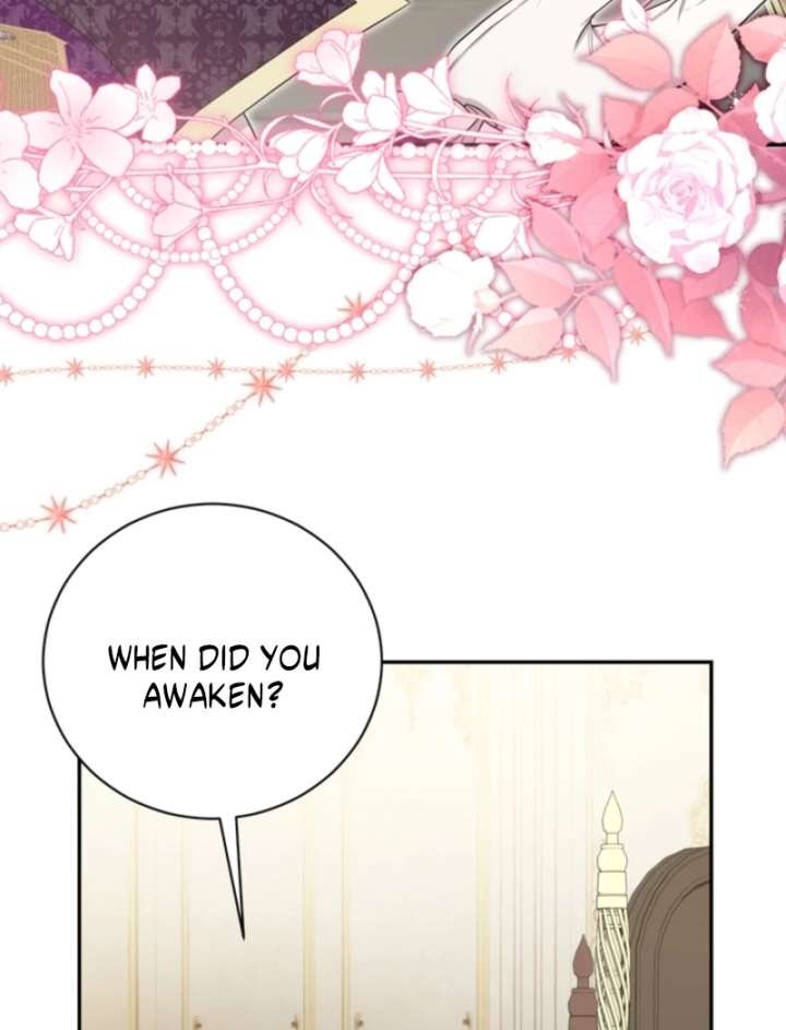 The S-Class Little Princess Is Too Strong Chapter 71 252 26