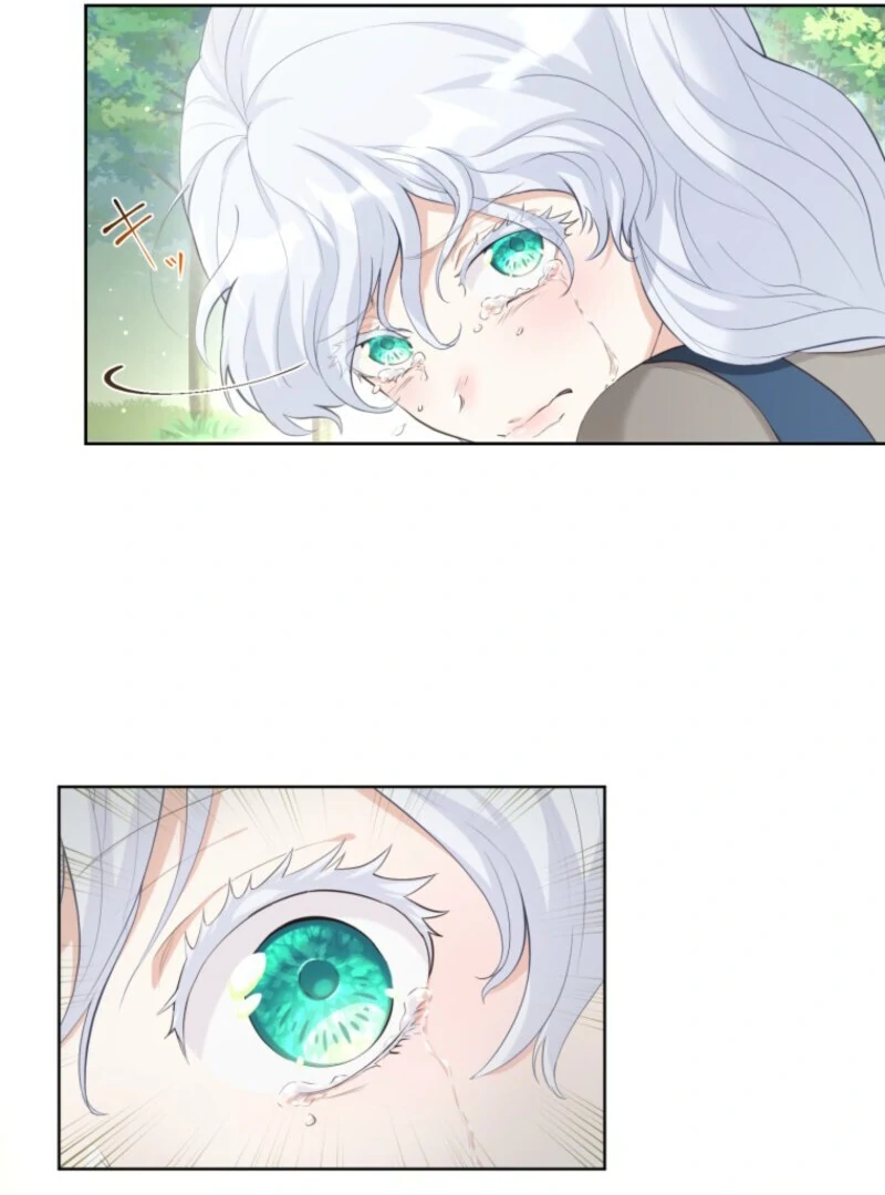 The Saint Who Wishes for Death Makes a Pact with the Cursed Prince Chapter 1 674 103