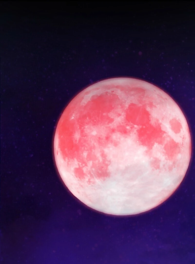 The Saint Who Wishes for Death Makes a Pact with the Cursed Prince Chapter 2 374 025