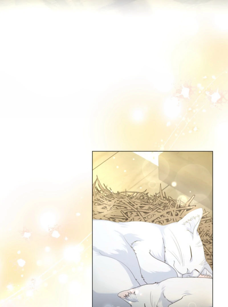 The Saint Who Wishes for Death Makes a Pact with the Cursed Prince Chapter 25 346 003