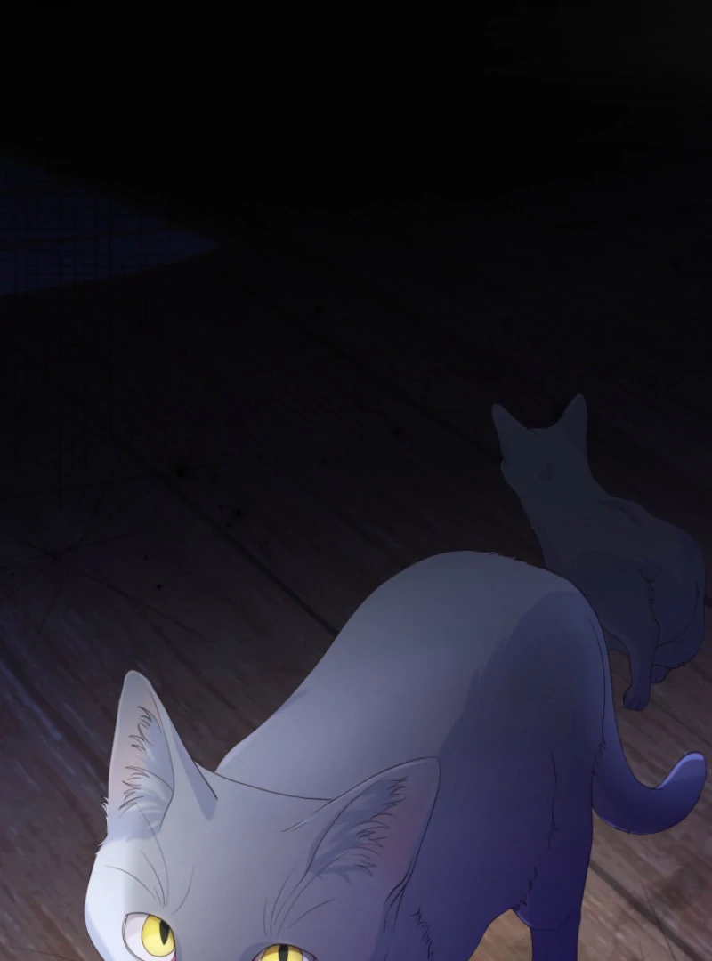 The Saint Who Wishes for Death Makes a Pact with the Cursed Prince Chapter 25 392 049