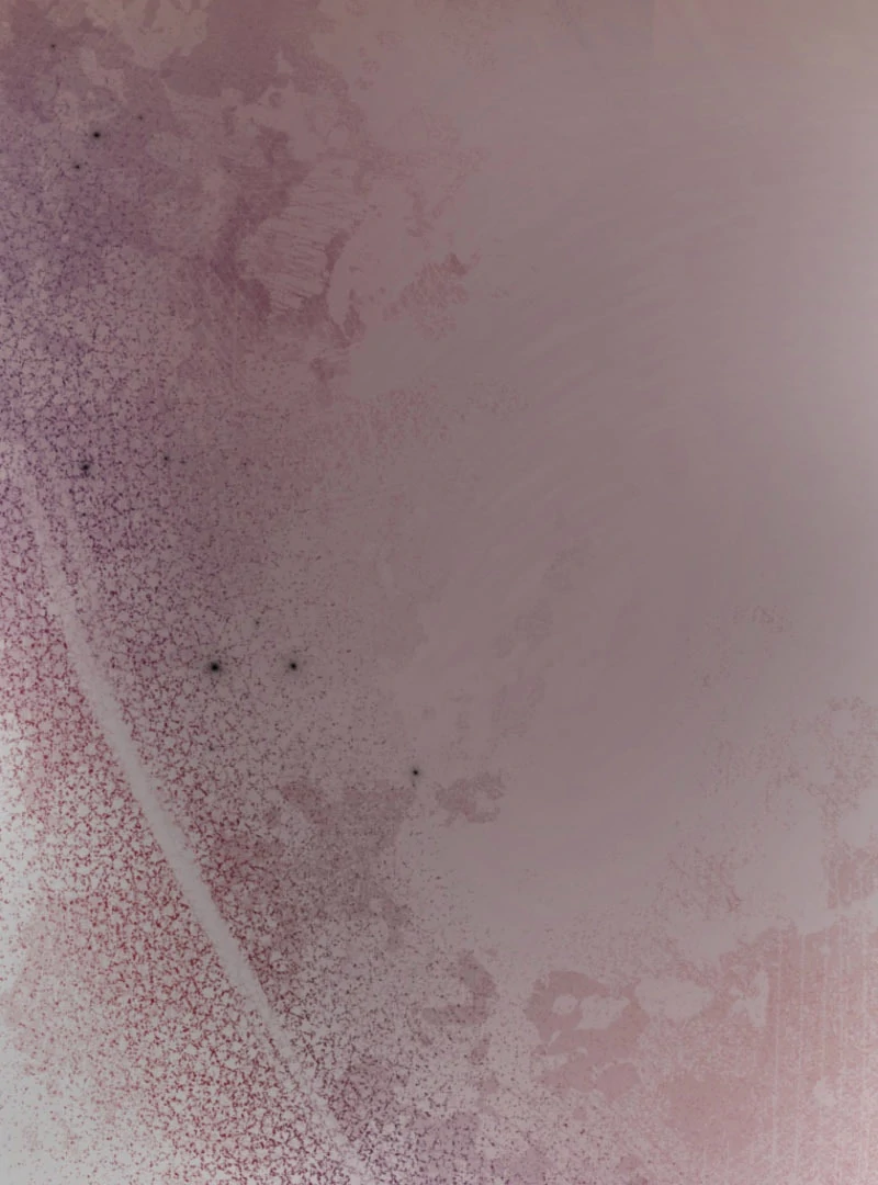 The Saint Who Wishes for Death Makes a Pact with the Cursed Prince Chapter 25 394 051