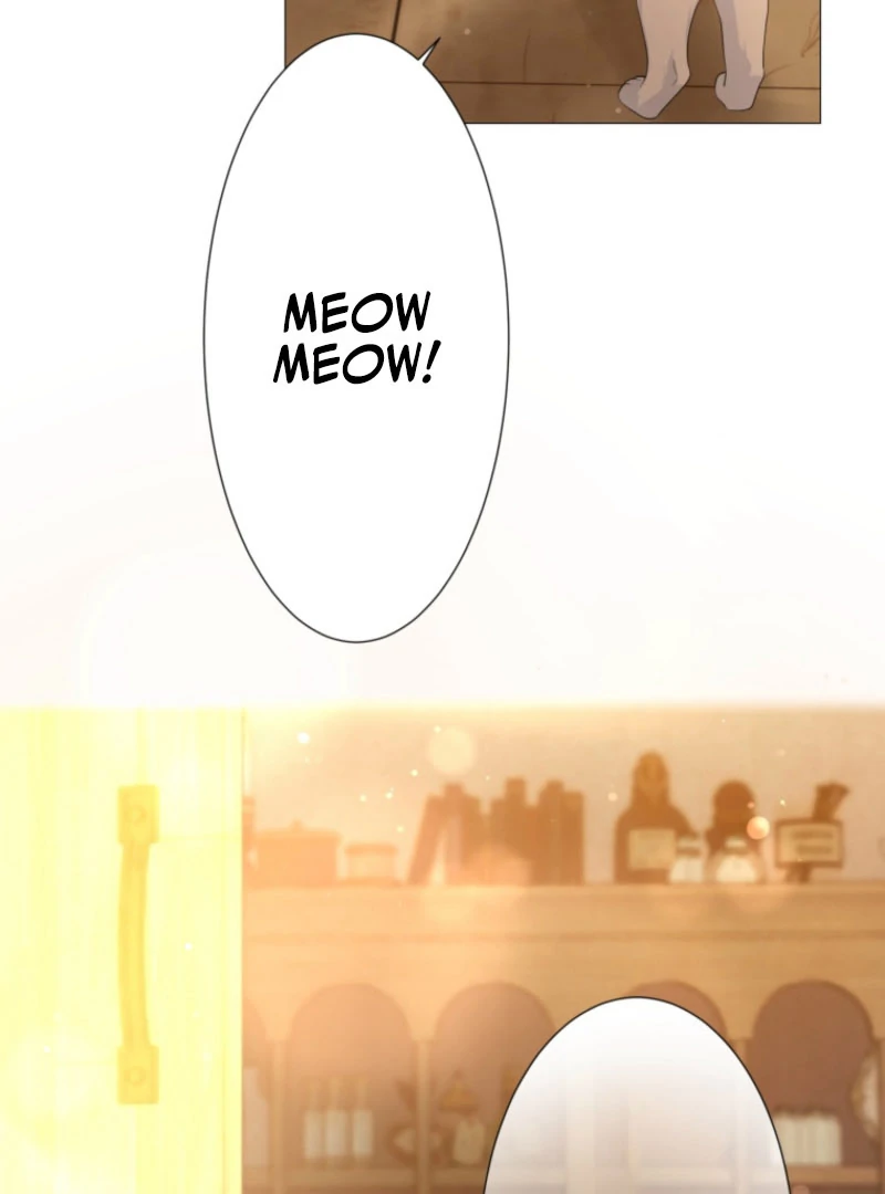 The Saint Who Wishes for Death Makes a Pact with the Cursed Prince Chapter 25 406 063