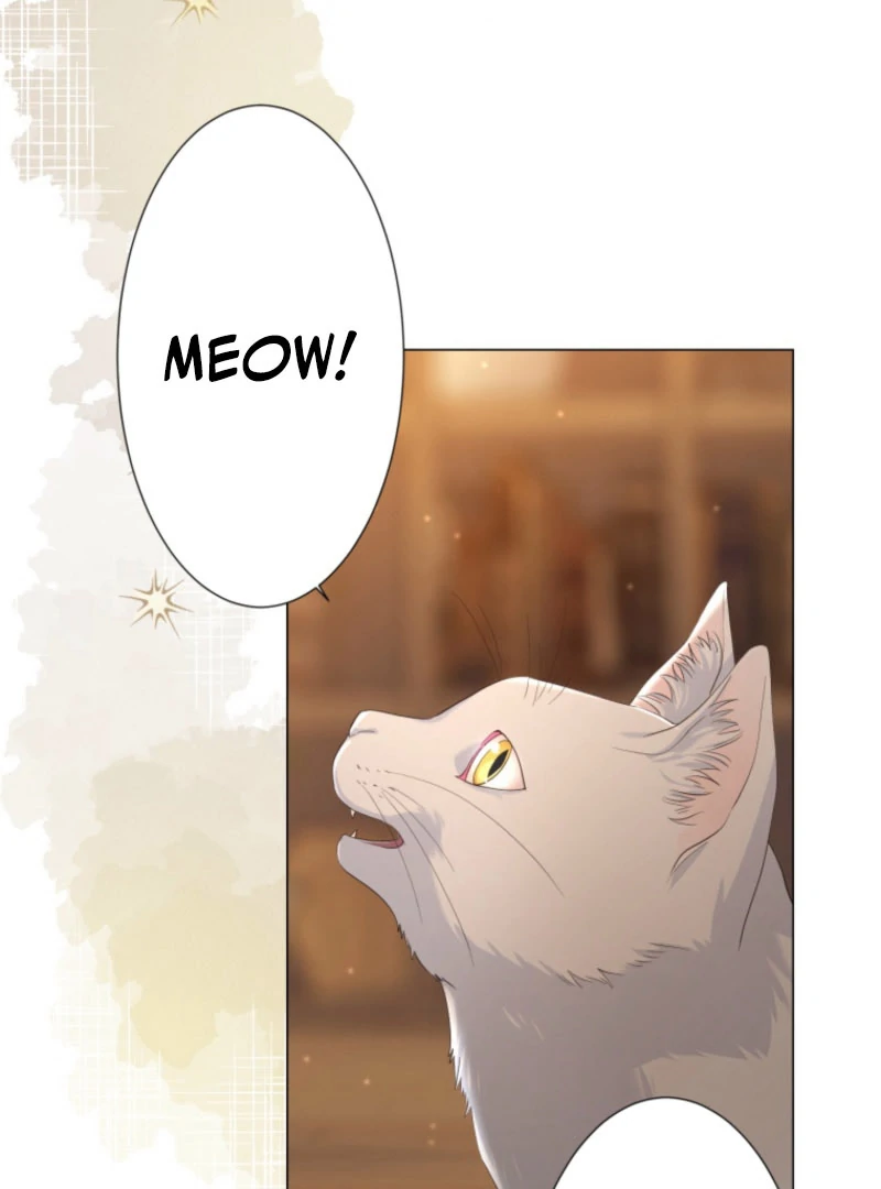 The Saint Who Wishes for Death Makes a Pact with the Cursed Prince Chapter 25 408 065