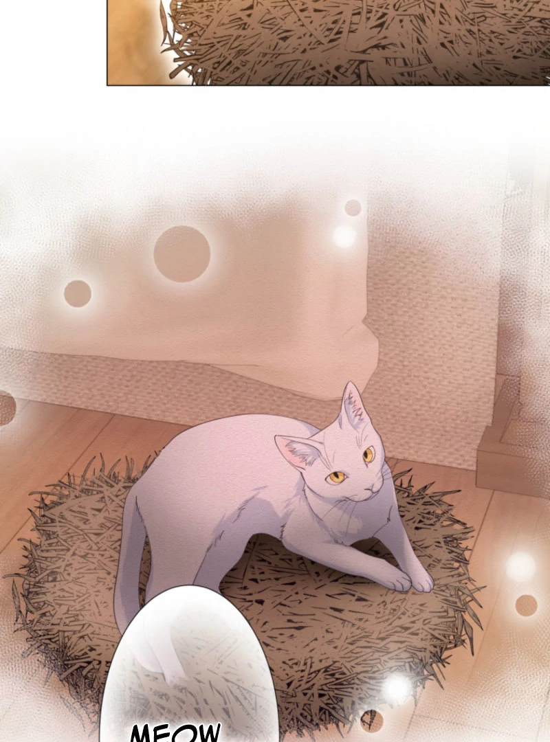 The Saint Who Wishes for Death Makes a Pact with the Cursed Prince Chapter 25 411 068