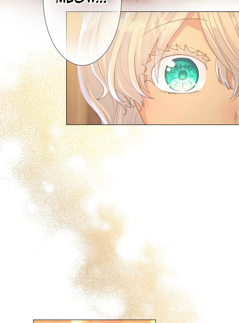 The Saint Who Wishes for Death Makes a Pact with the Cursed Prince Chapter 25 412 069