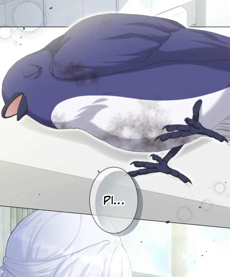 The Saint Who Wishes for Death Makes a Pact with the Cursed Prince Chapter 4 375 017