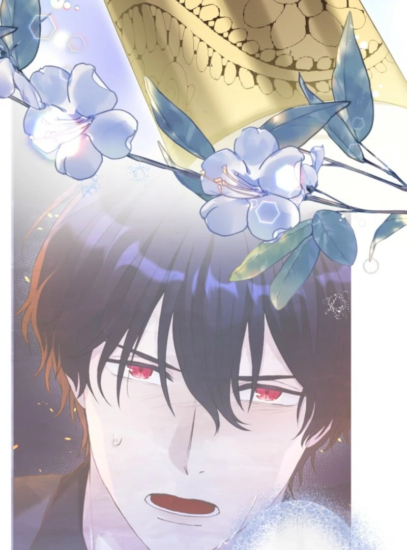 The Saint Who Wishes for Death Makes a Pact with the Cursed Prince Chapter 4 380 022