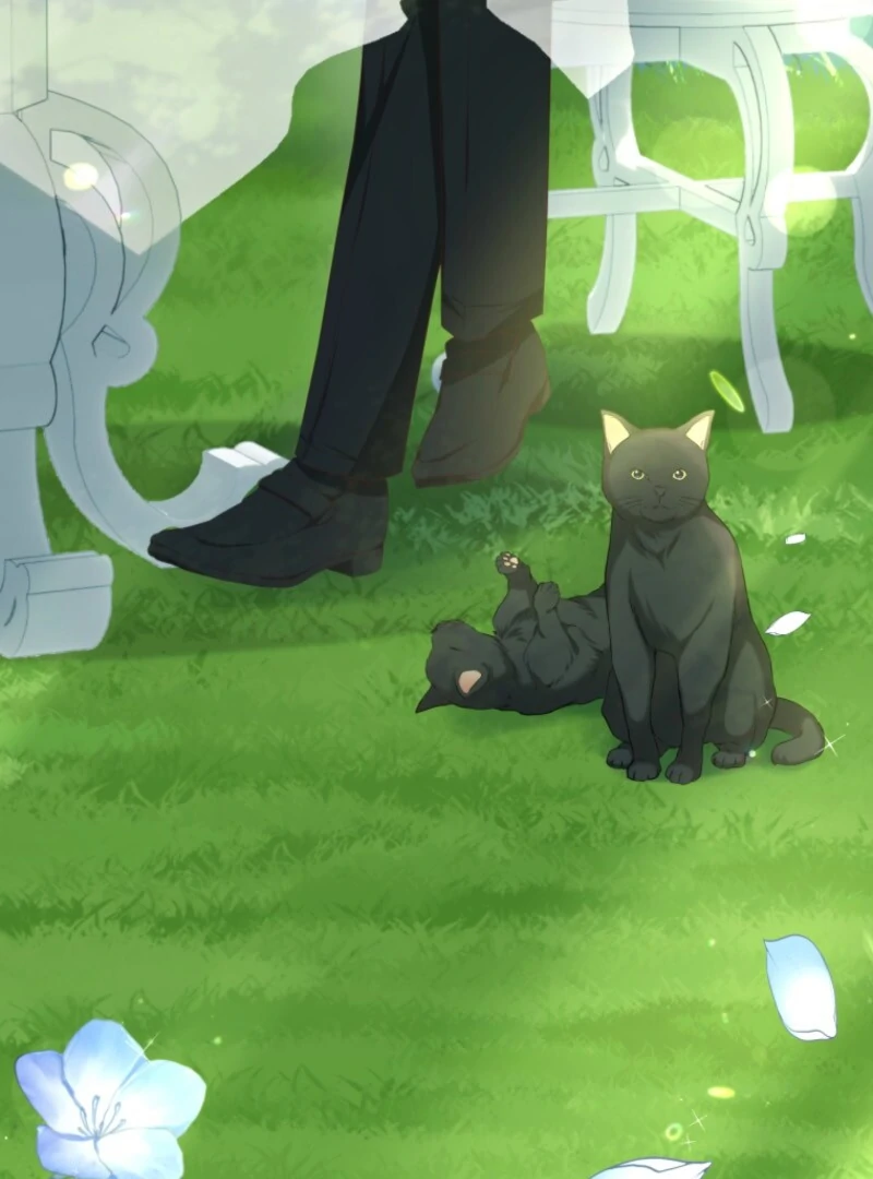 The Saint Who Wishes for Death Makes a Pact with the Cursed Prince Chapter 4 426 068