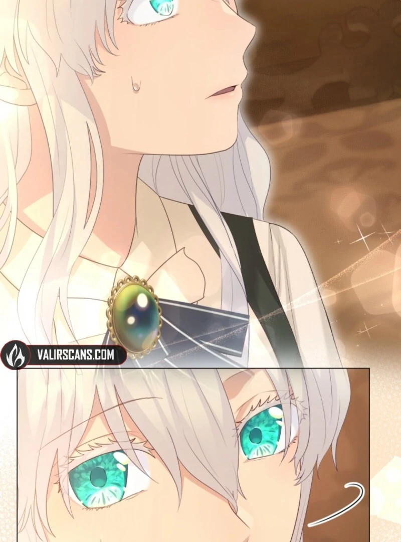 The Saint Who Wishes for Death Makes a Pact with the Cursed Prince Chapter 8 463 036