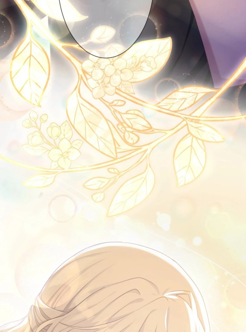 The Saint Who Wishes for Death Makes a Pact with the Cursed Prince Chapter 8 507 080