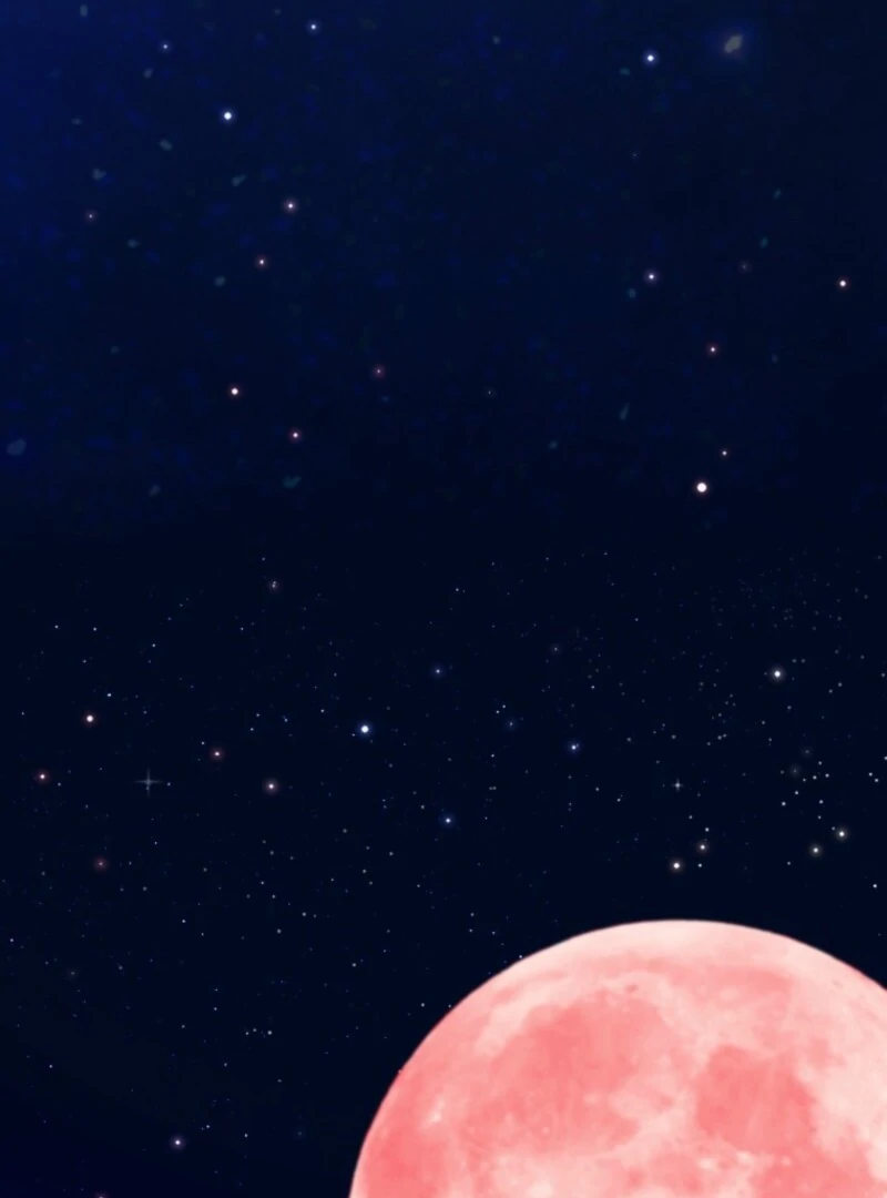 The Saint Who Wishes for Death Makes a Pact with the Cursed Prince Chapter 8 540 113