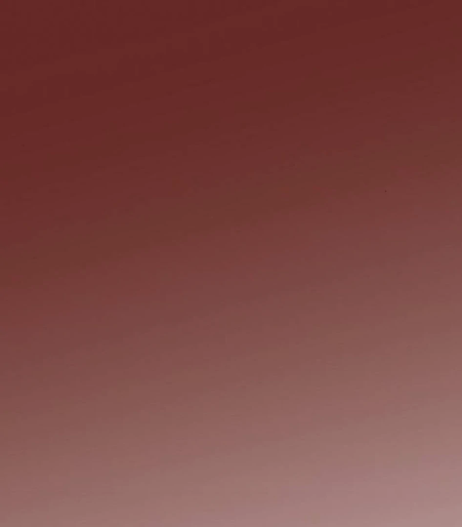 The Saintess And The Curse Chapter 22 441 041