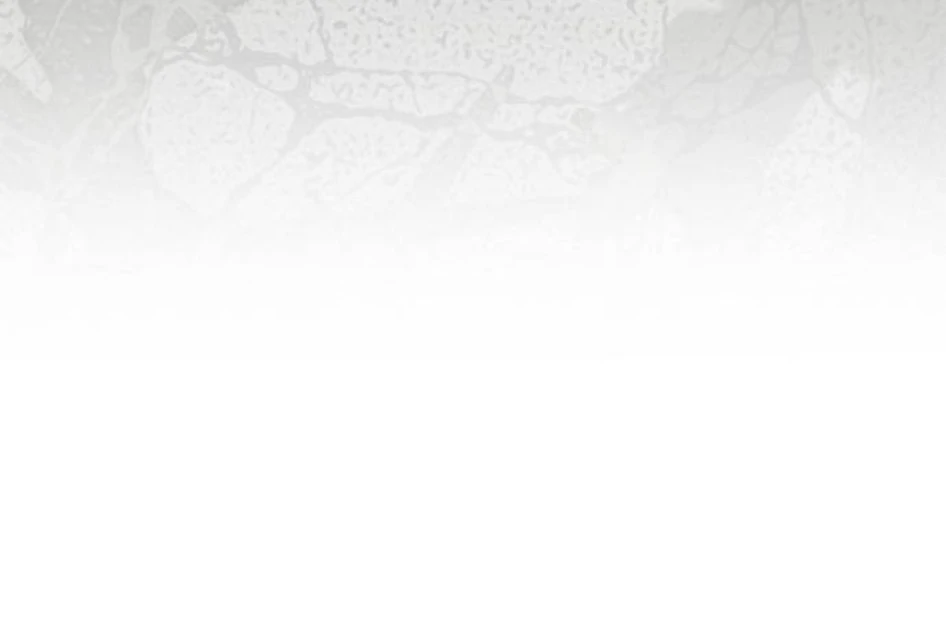 The Saintess And The Curse Chapter 23 425 031