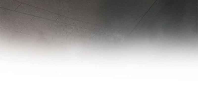 The Secret Life of a Certain Count’s Lady Chapter 47 161 3