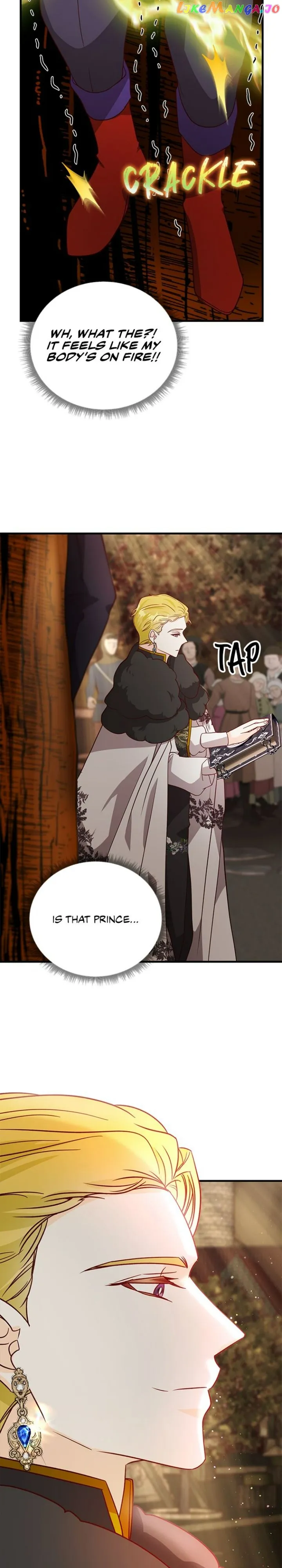 The Secret Life of a Certain Count’s Lady Chapter 49 177 26