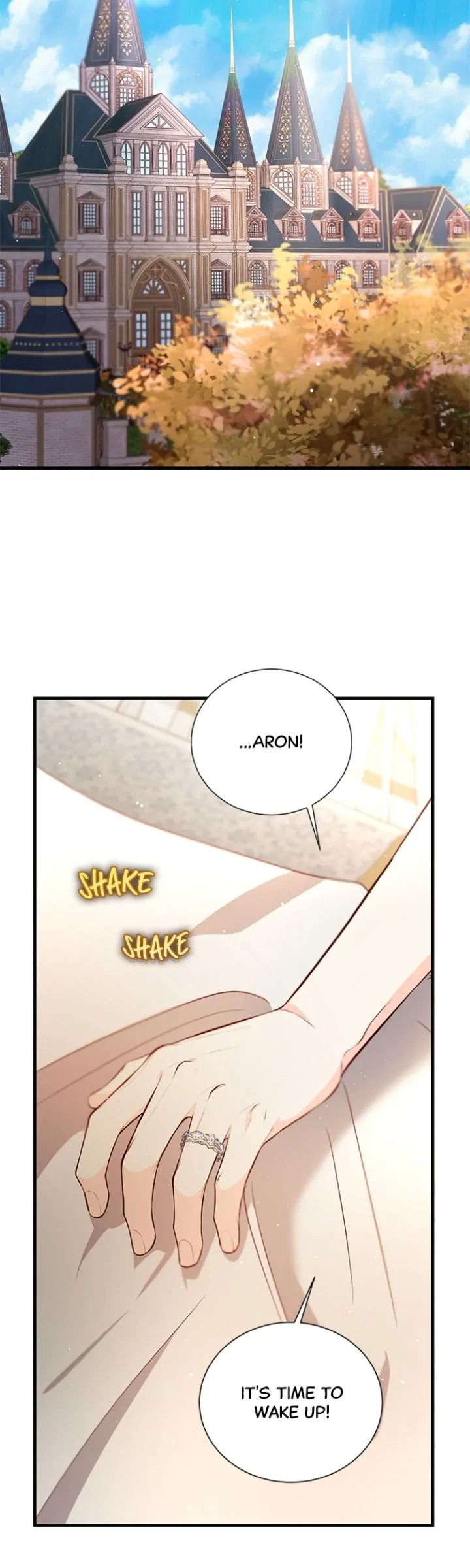 The Secret Life of a Certain Count’s Lady Chapter 95 220 45