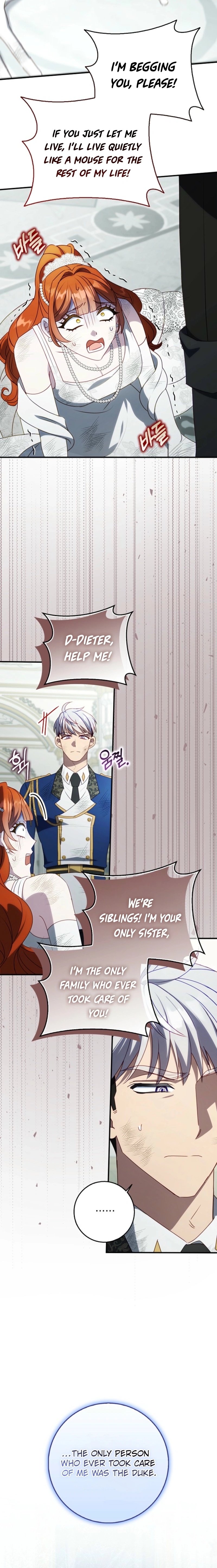 The secrets of the lovely duchess Chapter 44 96 20