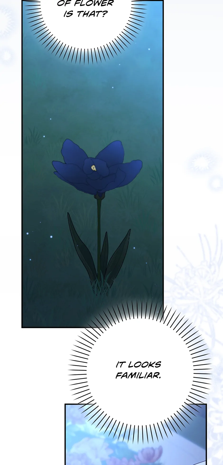 The secrets of the lovely duchess Chapter 51 255 50