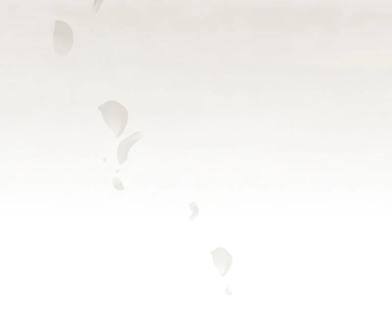 The Silent Sacrifice Princess And The Black Dragons Marriage Chapter 17 218 28