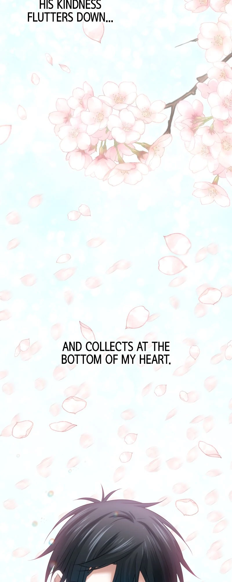 The Silent Sacrifice Princess And The Black Dragons Marriage Chapter 19 225 23