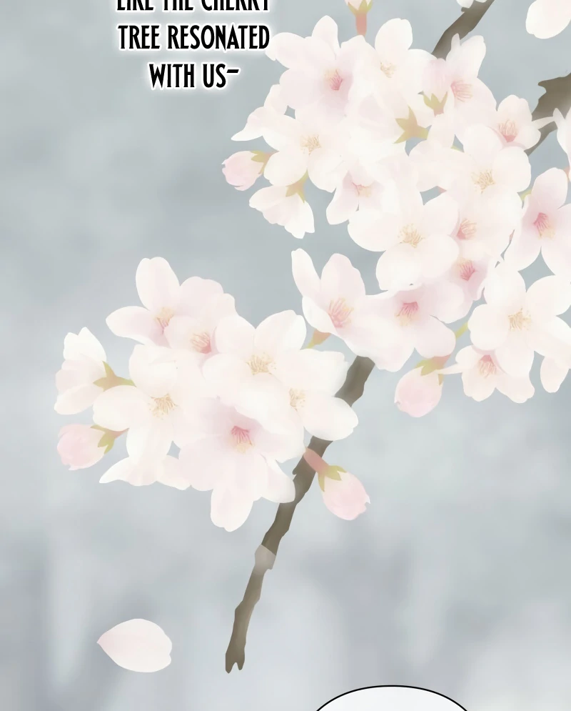 The Silent Sacrifice Princess And The Black Dragons Marriage Chapter 42 443 103