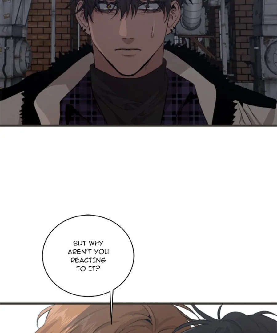 The Spring Scent of the Sea Chapter 57 278 34