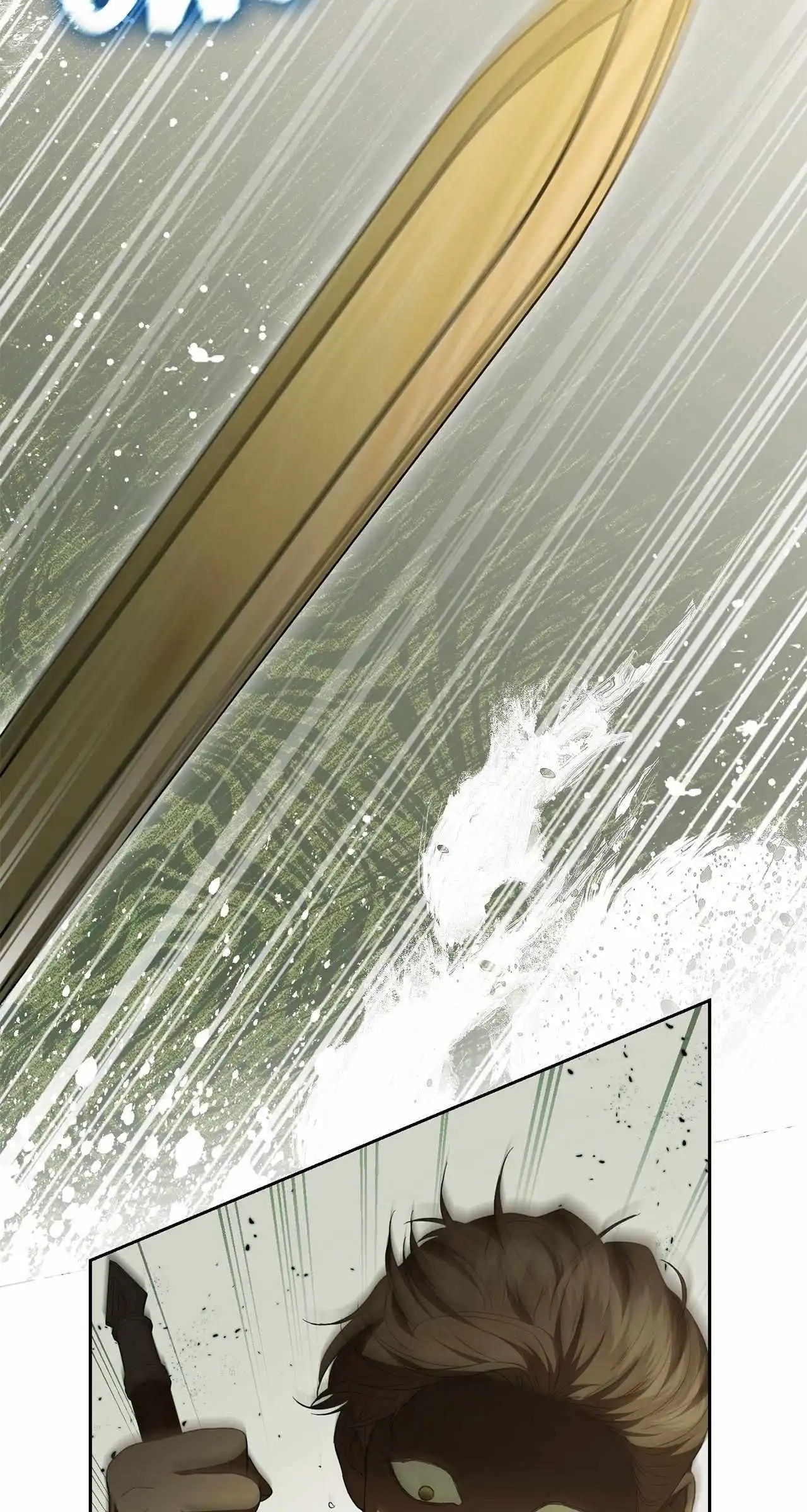 The Stone Thrown in the Lake Chapter 24 288 29