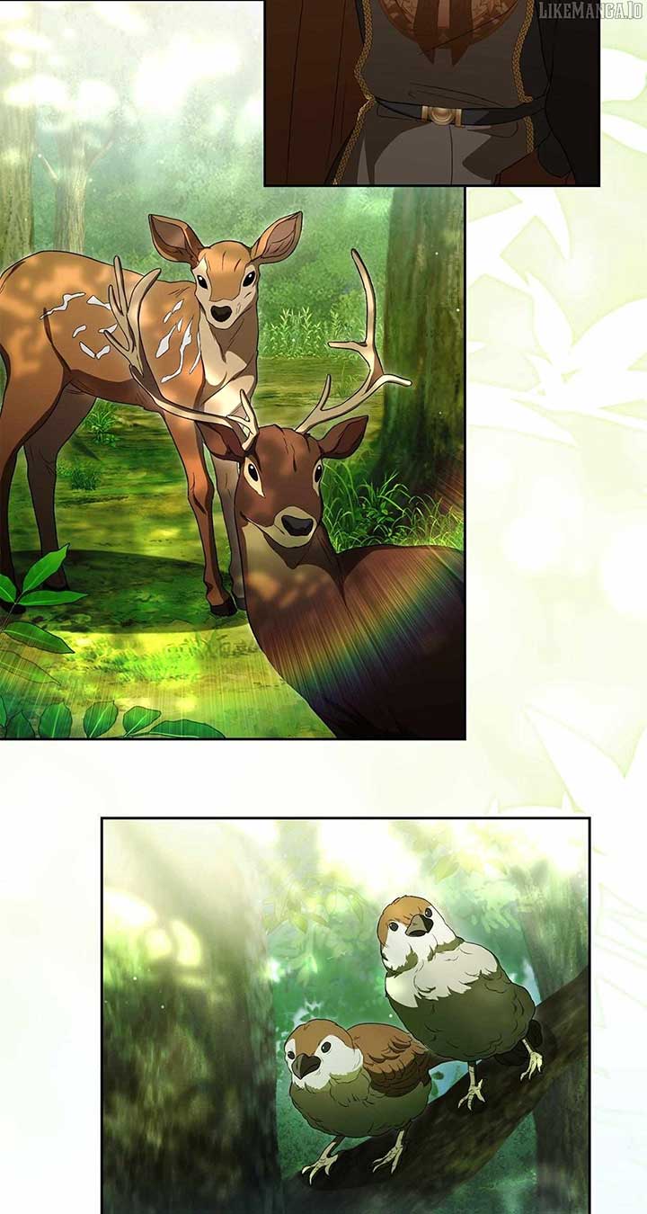 The Stone Thrown in the Lake Chapter 47 294 47