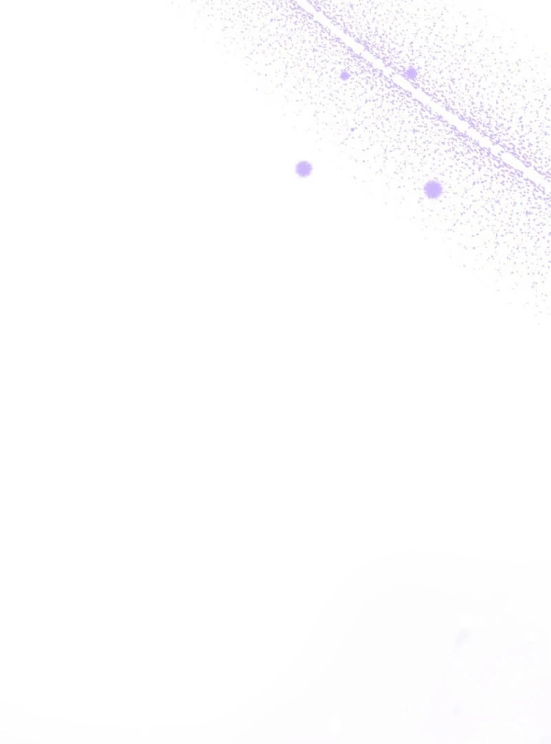 The Stray Cat Who Doesn’t Know the Greatest Love Song Chapter 13 428 028