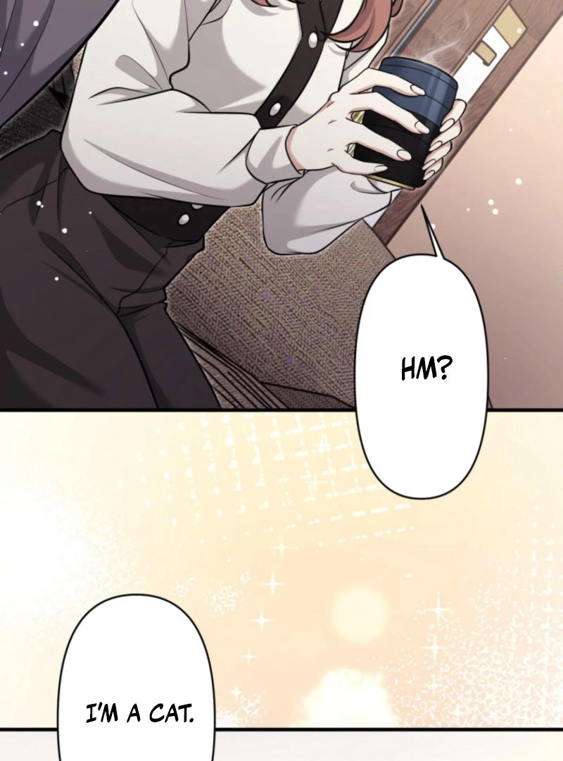 The Stray Cat Who Doesn’t Know the Greatest Love Song Chapter 13 439 039