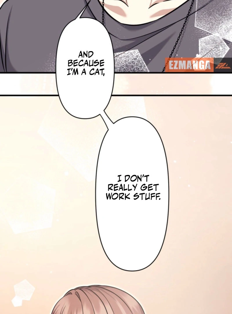 The Stray Cat Who Doesn’t Know the Greatest Love Song Chapter 13 441 041