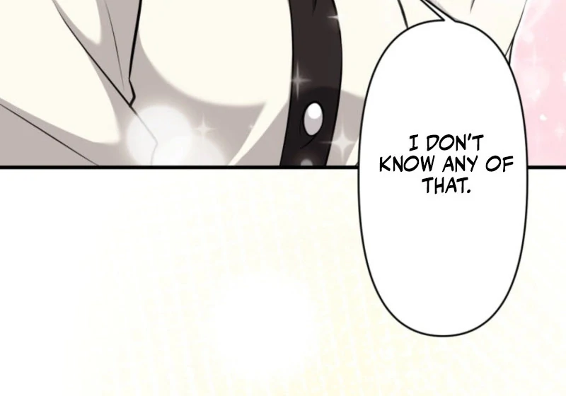 The Stray Cat Who Doesn’t Know the Greatest Love Song Chapter 13 513 113