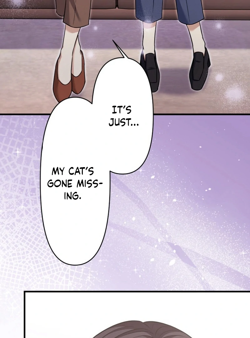 The Stray Cat Who Doesn’t Know the Greatest Love Song Chapter 15 447 041