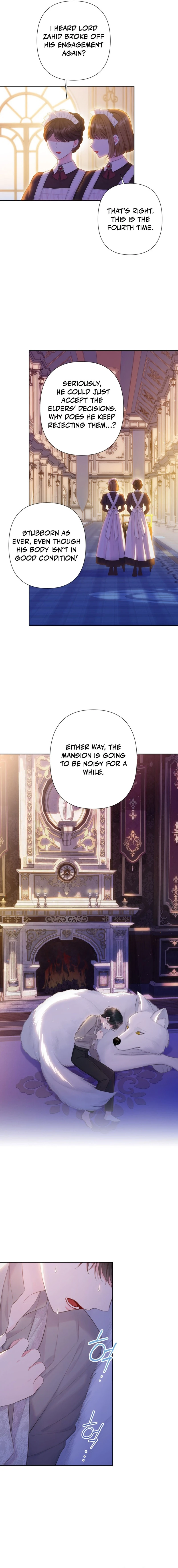 The Strongest Brother Lost His Memory Chapter 5 66 13