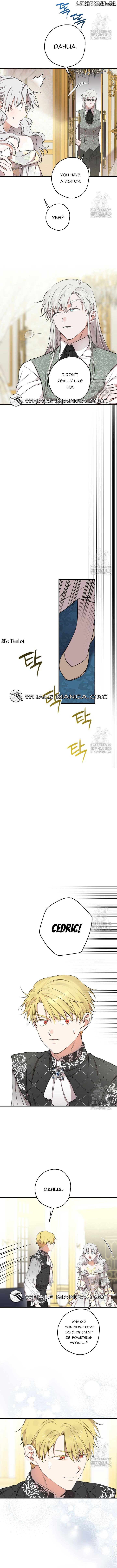 The Strongest Characters in the World are Obsessed With Me Chapter 114 43 06