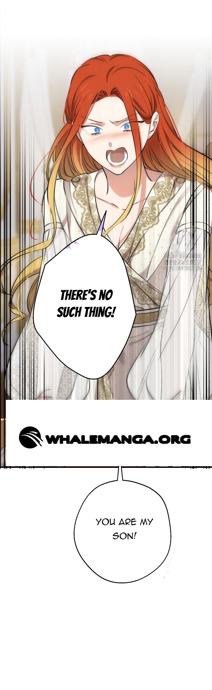 The Strongest Characters in the World are Obsessed With Me Chapter 116 312 41