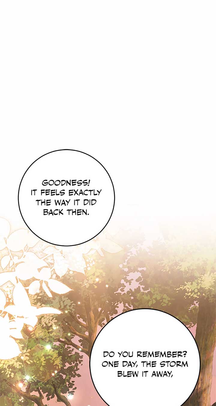 The Student Guardians Are Obsessed With Me Chapter 42 225 ch 42 8