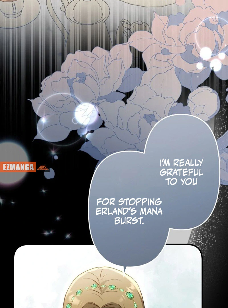 The Substitute Adopted Daughter is Finally Free! Chapter 41 335 43