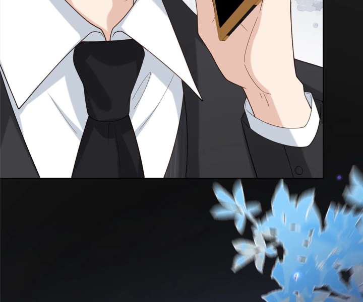 The Substitute Bride And The Overly affectionate Husband Chapter 29 455 034