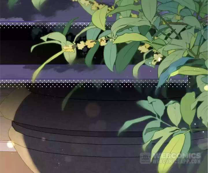 The Substitute Bride And The Overly affectionate Husband Chapter 35 555 083