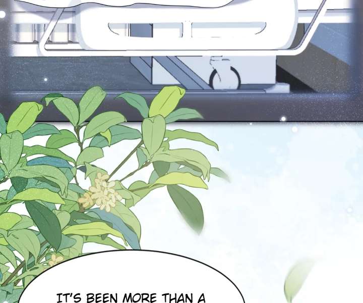 The Substitute Bride And The Overly affectionate Husband Chapter 38 515 088